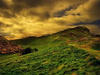 Images Image